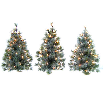 Mini Christmas Trees